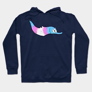 Trans Flag Worm Hoodie